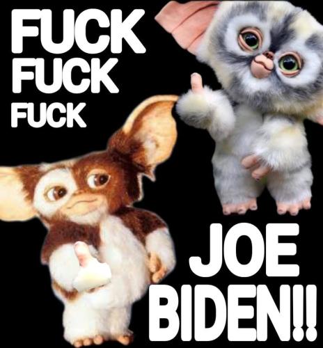 Biden 2