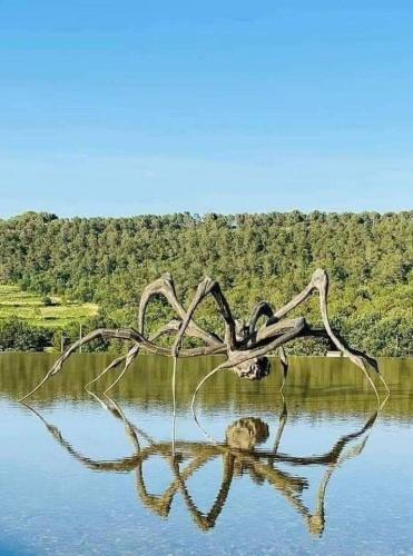 FB_IMG_1682189968194