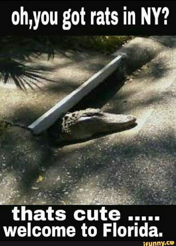 thats cute