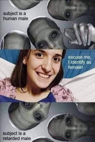 IMG_20230422_035848_447