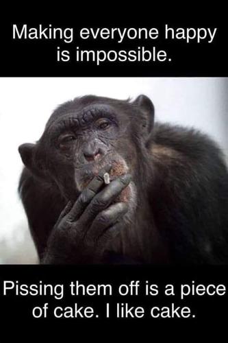 FB_IMG_1680905460218