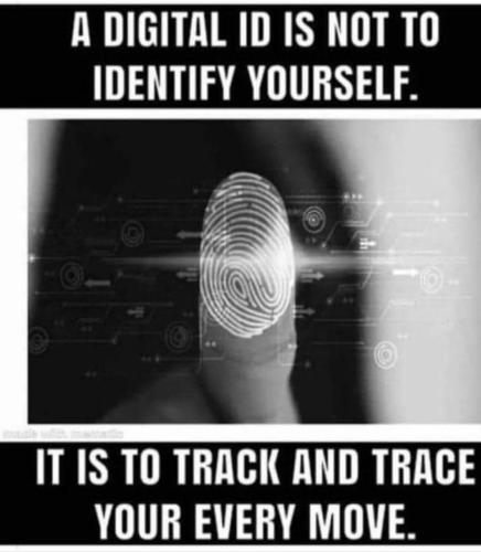 photo_2023-04-11_22-32-14