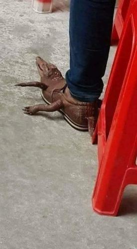 crock boots