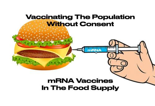 IMG_20230403_022959_098