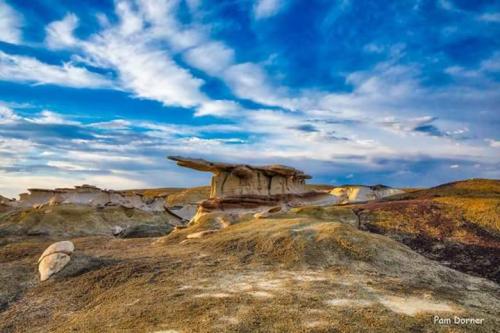 FB_IMG_1682884503646