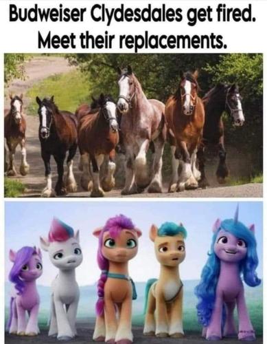 meet their replacements