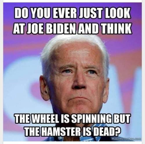 FB_IMG_1681523328199