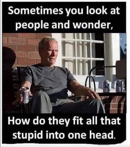 look at people an wonder