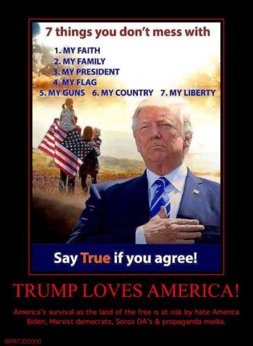 Trump 7