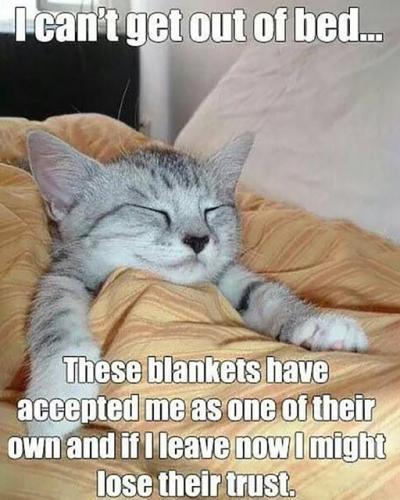 336317654_142769028714862_4183393361257655492_n