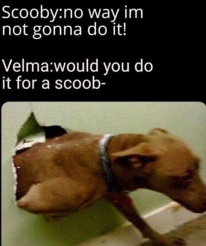 1682041743.1579971