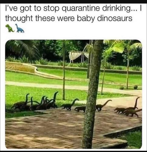 Screenshot_20230405_232845_YouTube