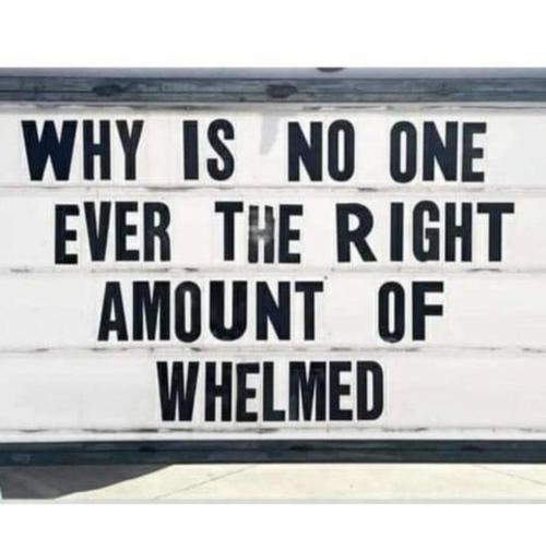 why is no one
