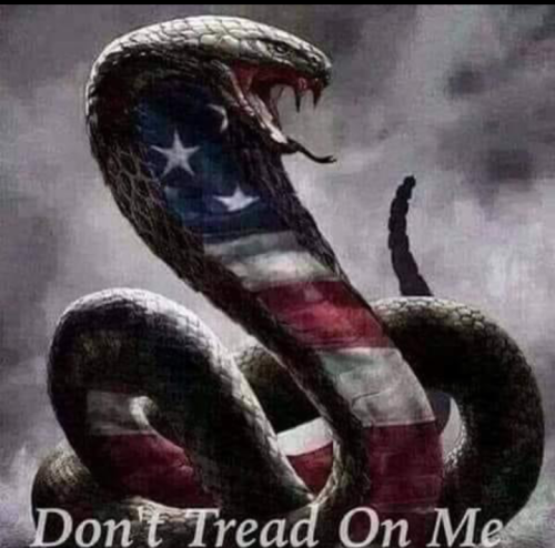 Screenshot_20230420-162842~2