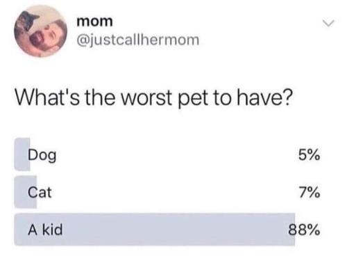 1682211491.931871