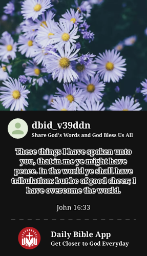 2023-04-071680903423304