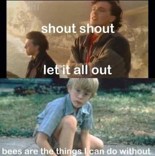 FB_IMG_1682435690515