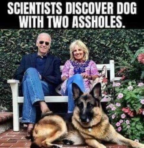 FB_IMG_1681676758158