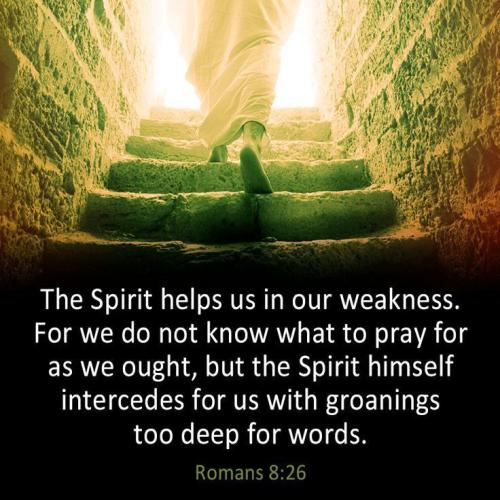 IMG_20230412_202504_852