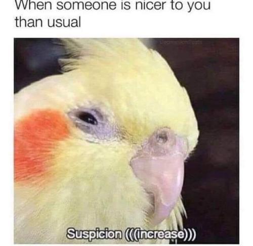 1682210917.974292