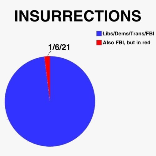 Insurrections pie chart