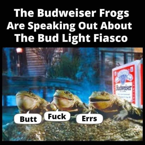 FB_IMG_1681007395115