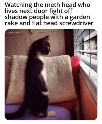 FB_IMG_1681761314436