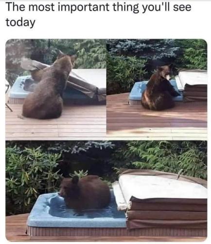 most important thing you will see