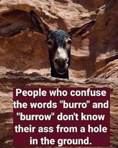 FB_IMG_1681493396210