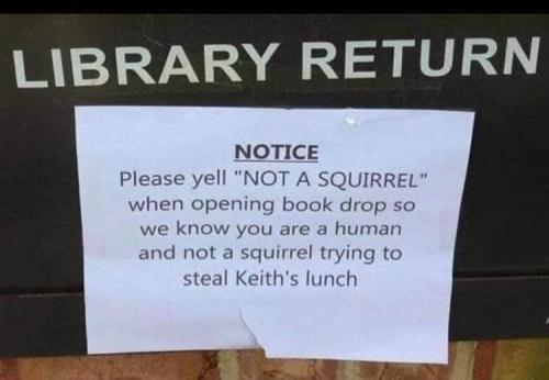 FB_IMG_1682435046190