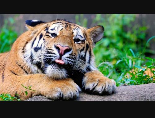 Screenshot_20230419_102244_YouTube