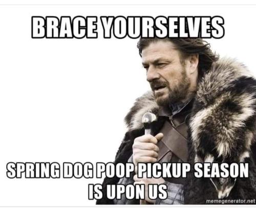 brace yourselves