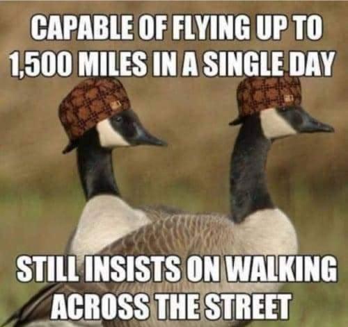 walking across the street