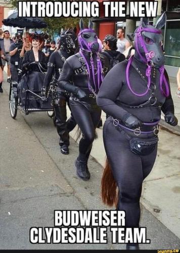 643985e1-4eb7-4385-ad1a-b3cbcd1cd2f7