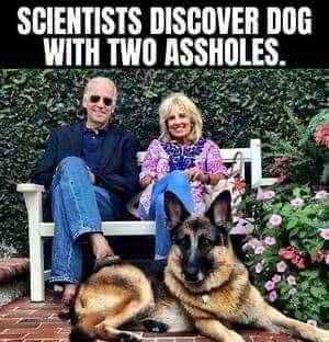 FB_IMG_1680452952266