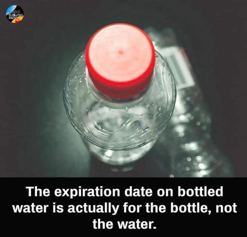 1682885042.935808