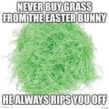 Never buy grass from the Easter Bunny. He always rips you off.