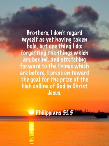 FB_IMG_1681215869183