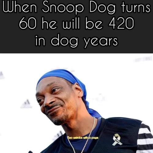 When Snoop turns 60 he will be 420 in dog years