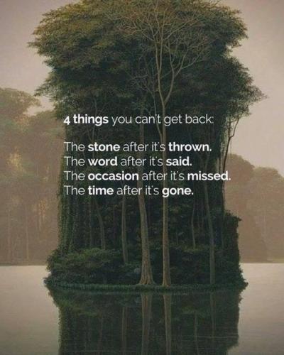 17553944_10155129276432731_1638874852364505022_n