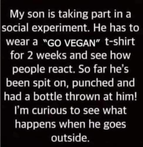 FB_IMG_1682015828628