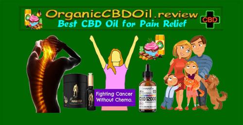 OrganicCBDOil.review - Best CBD Oil for Pain