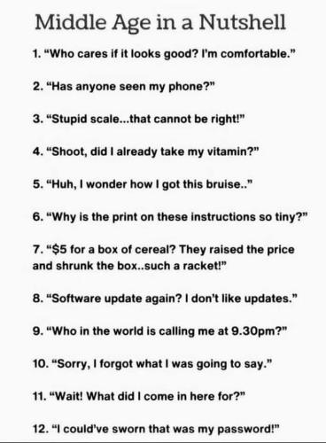 middle age in a nutshell