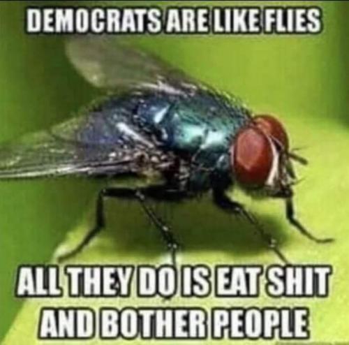 FB_IMG_1680617456392