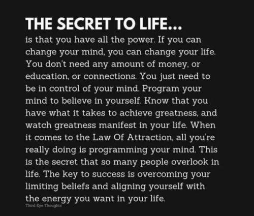 333220738_89237668864