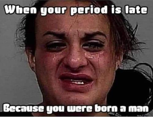 FB_IMG_1681270171862