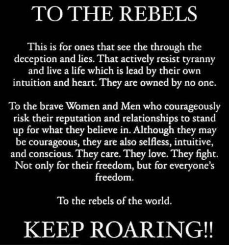 Rebels 1