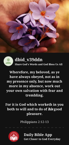 2023-04-151681612828689