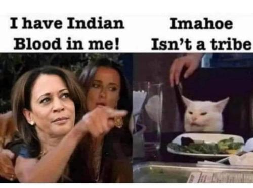 339646499_5796054617170484_5391397046657865292_n