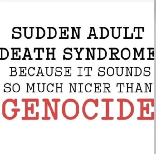 FB_IMG_1682485640098